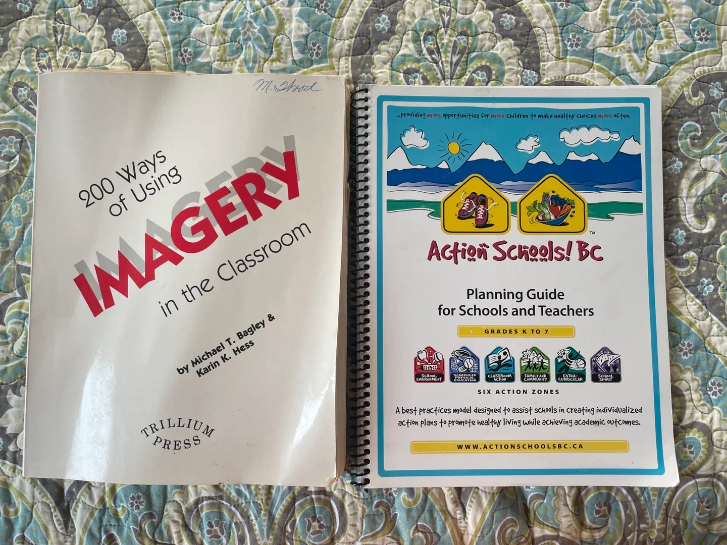 🥕2 Teacher Books: Imagery in the Classroom & Action Schools! BC thumbnail
