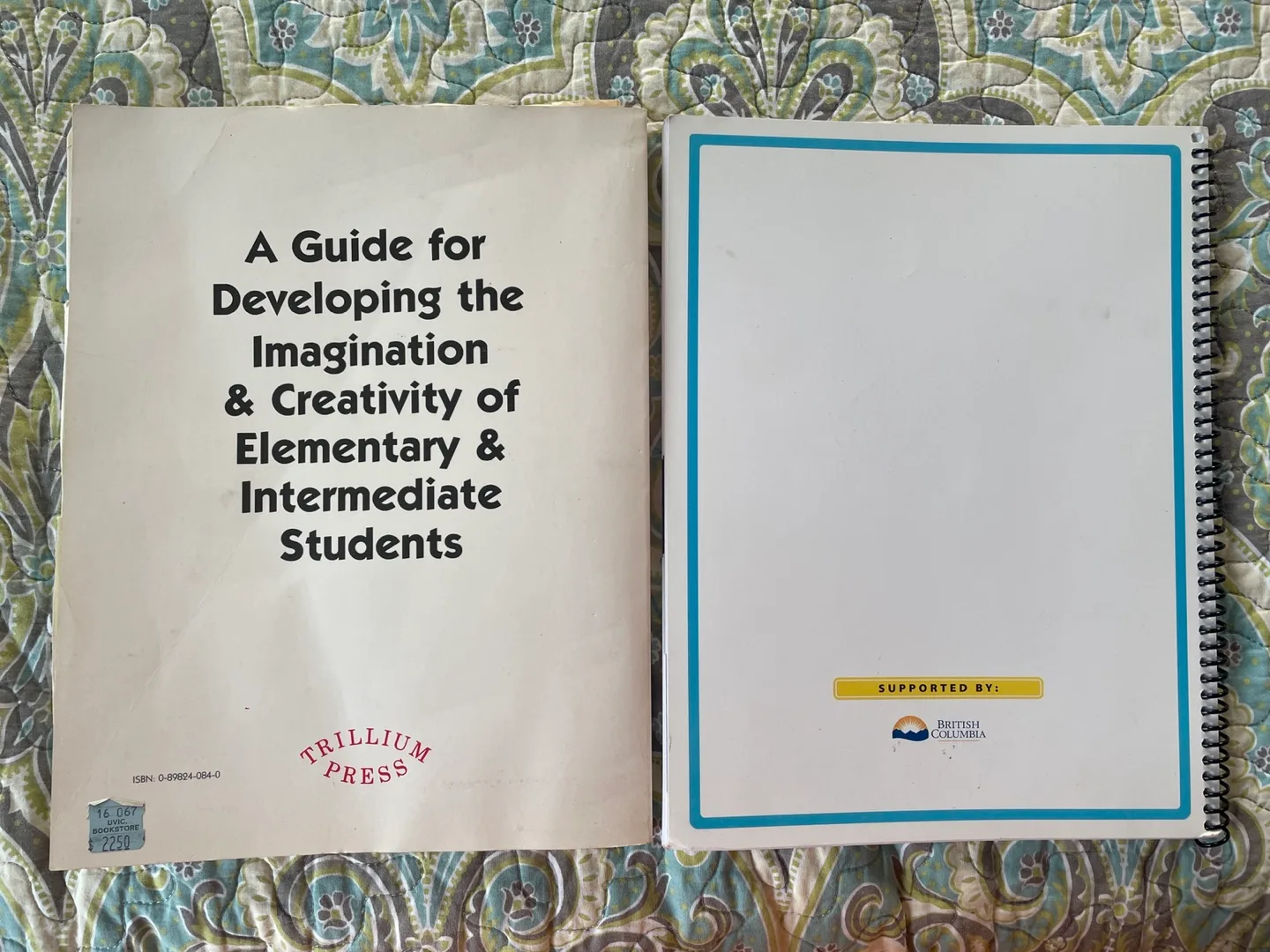 🥕2 Teacher Books: Imagery in the Classroom & Action Schools! BC image indicator(2)