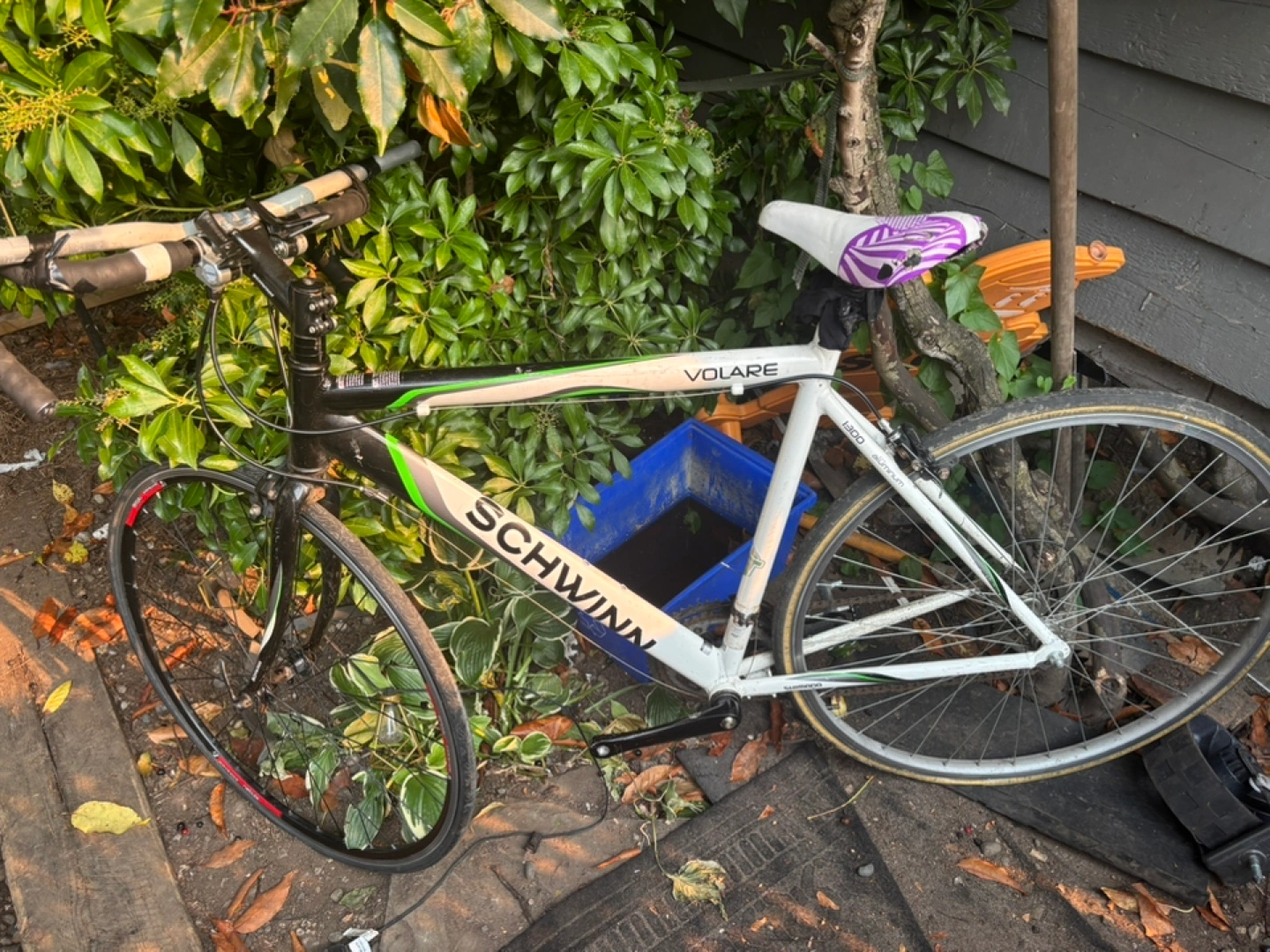 Schwinn Volare 1300 Aluminum Road Bike Karrot