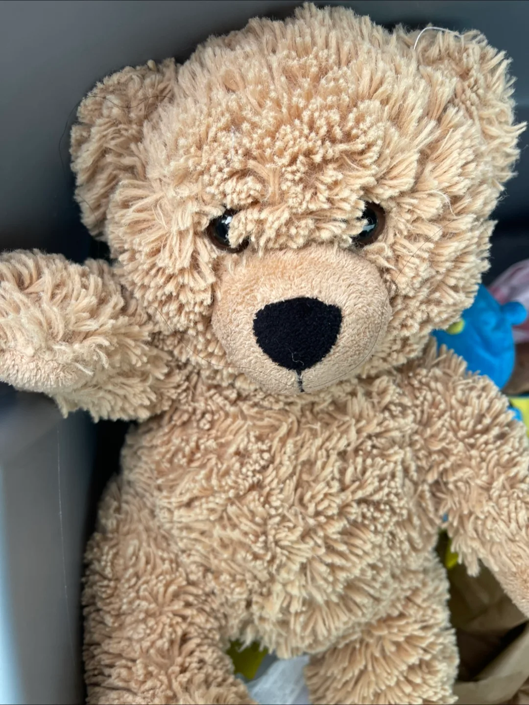 Assorted Plush Stuffed Animals all for $5 image indicator(4)