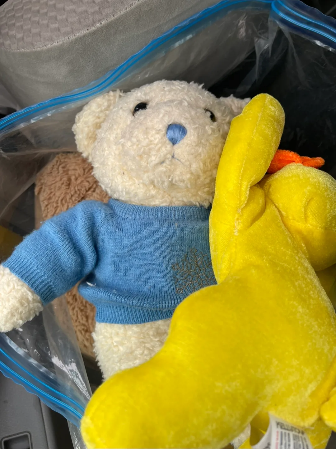 Assorted Plush Stuffed Animals all for $5 image indicator(6)