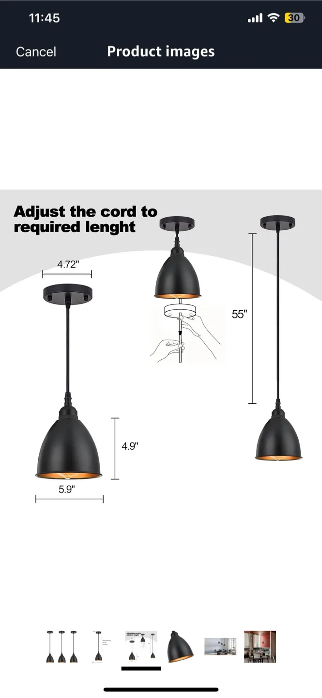 Pendant Lighting Fixture, Black, New in Box thumbnail