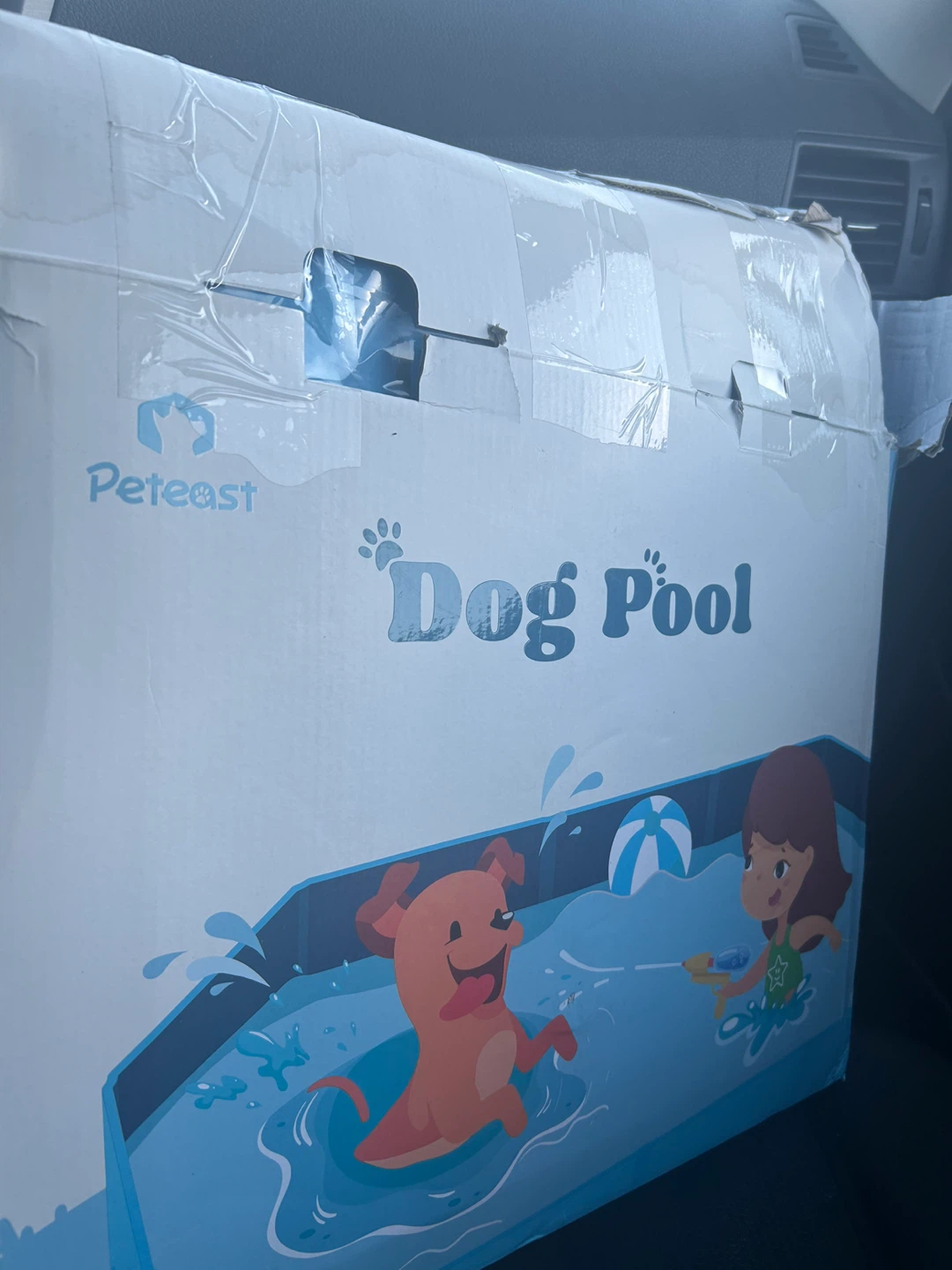Peteast Dog Pool 71x39x12 in