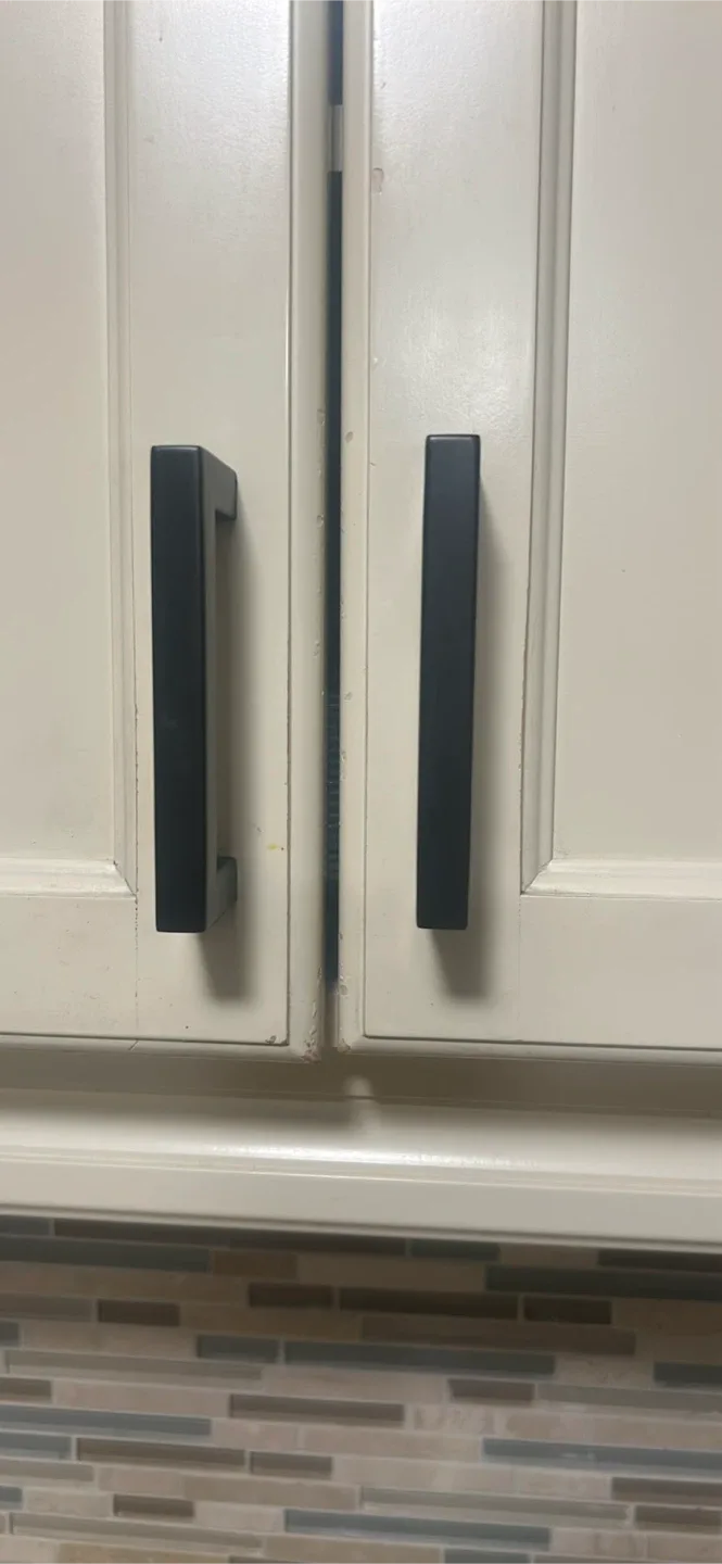 Cabinet door with black handles thumbnail