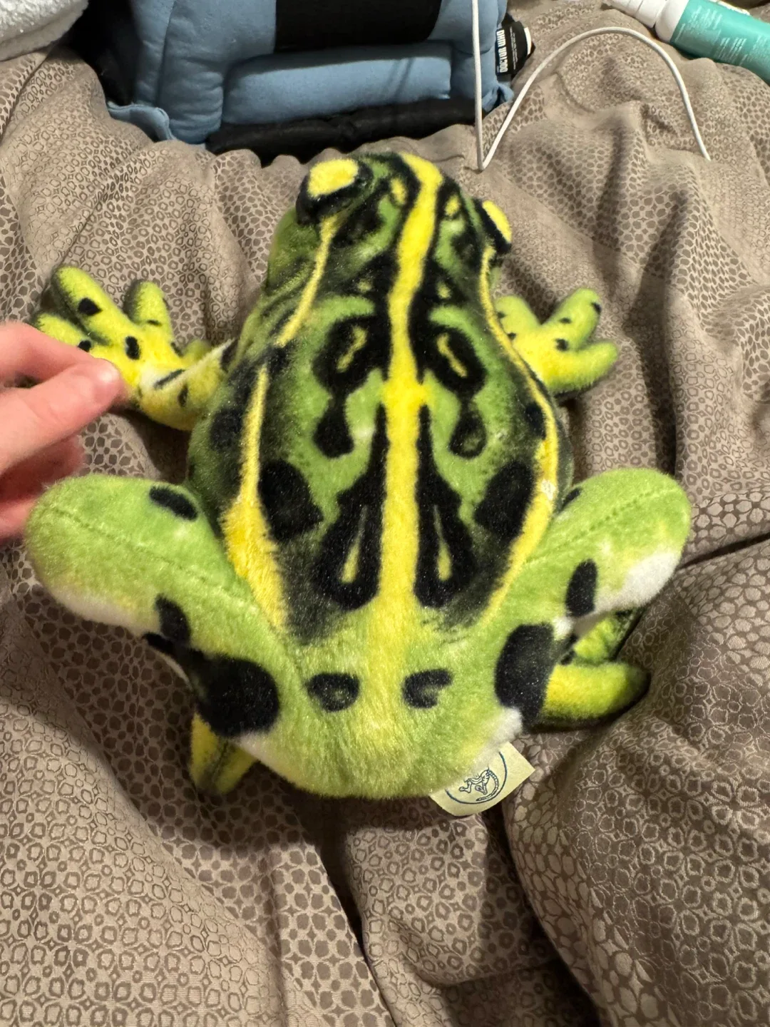 Green & Yellow Spotted Plush Frog image indicator(3)