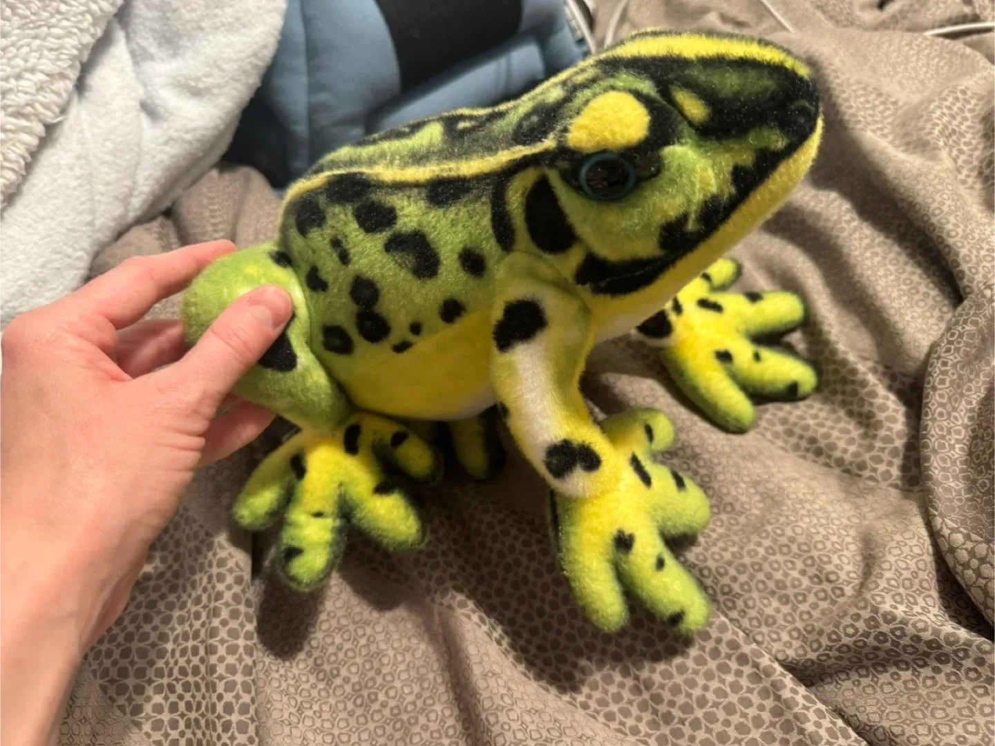 Green & Yellow Spotted Plush Frog image indicator(4)