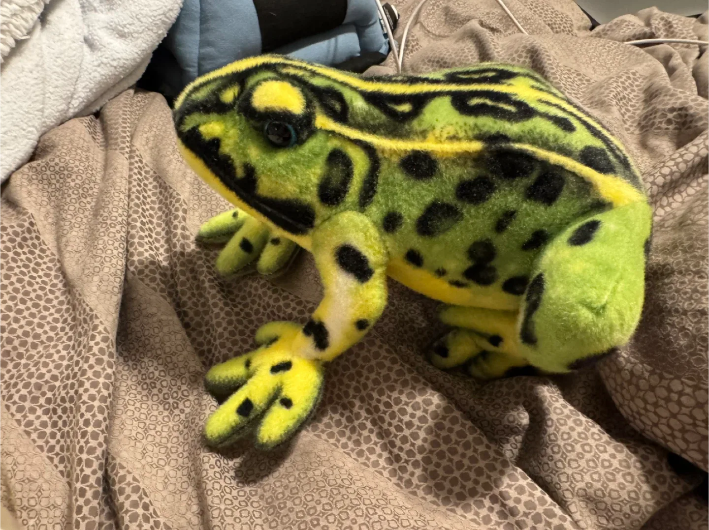 Green & Yellow Spotted Plush Frog image indicator(2)