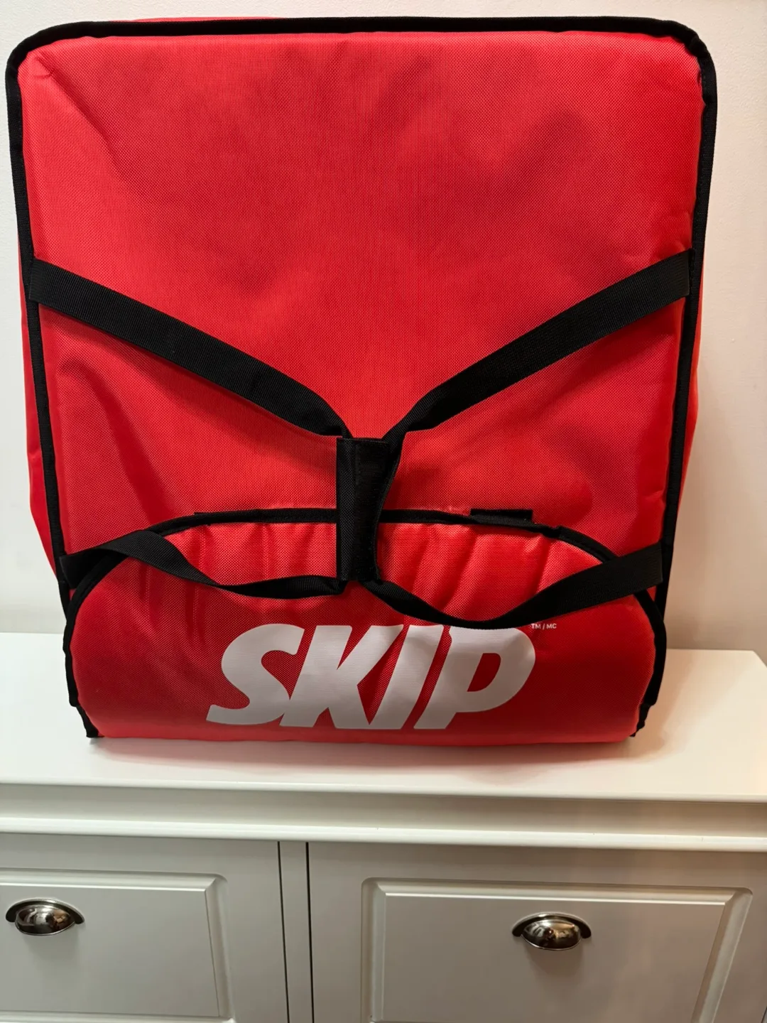 Skip The Dishes Insulated Delivery Bag - Red image indicator(2)