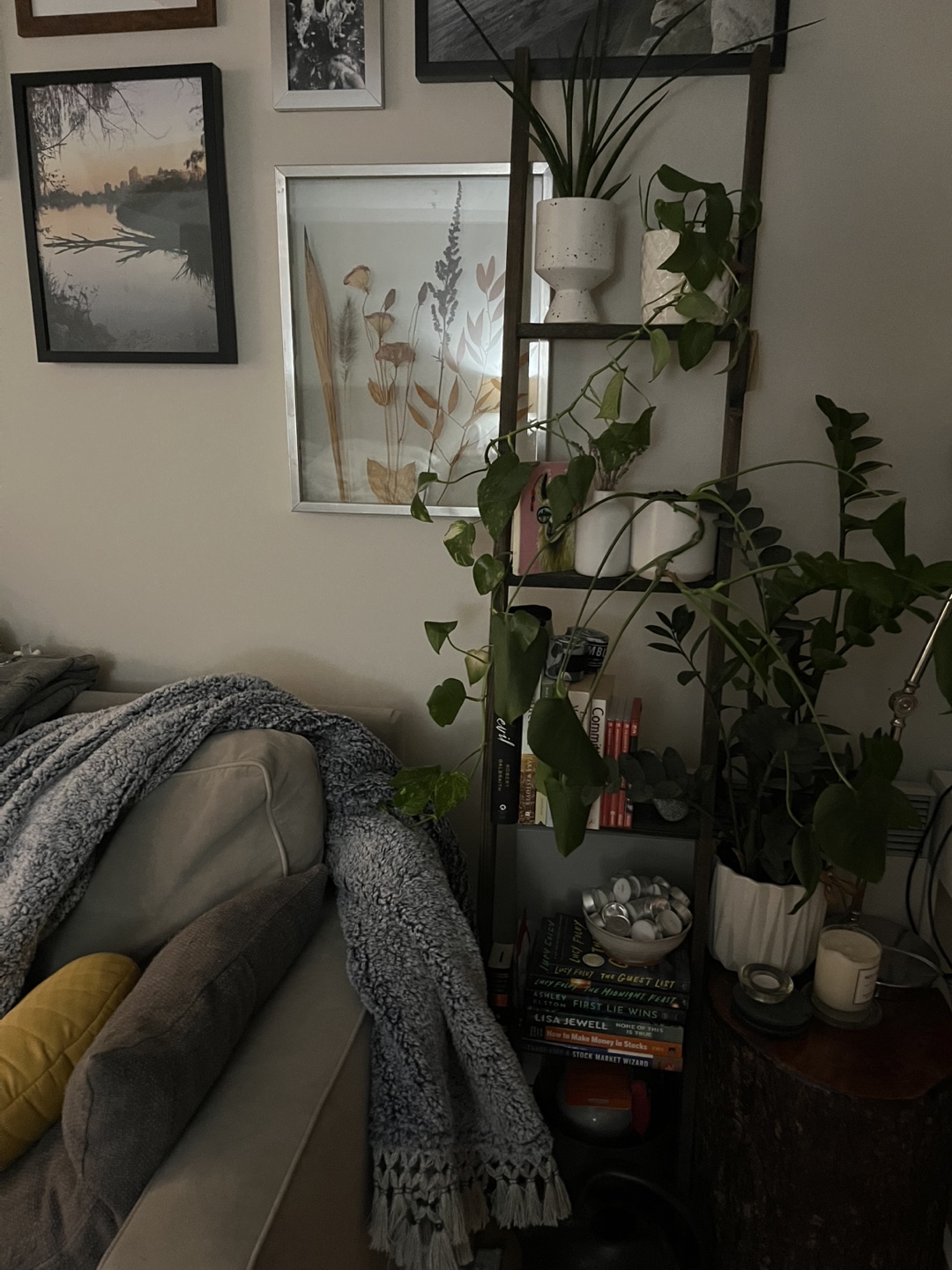 Wooden Ladder Shelf - Home Decor