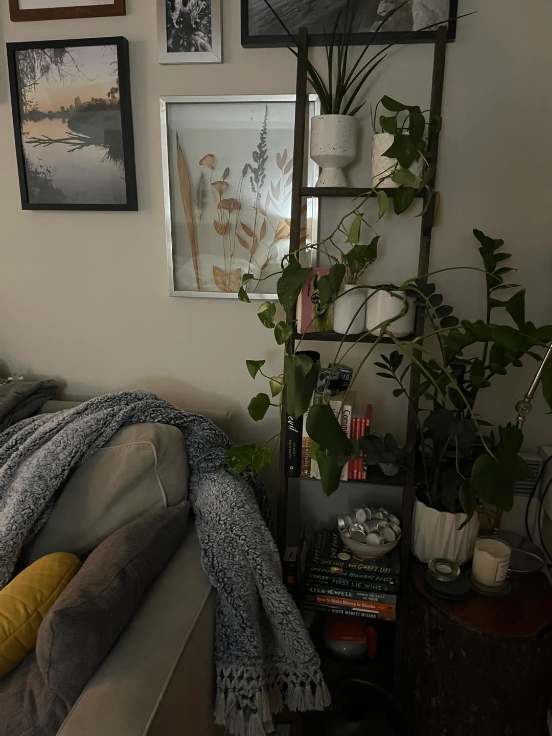 Wooden Ladder Shelf - Home Decor thumbnail