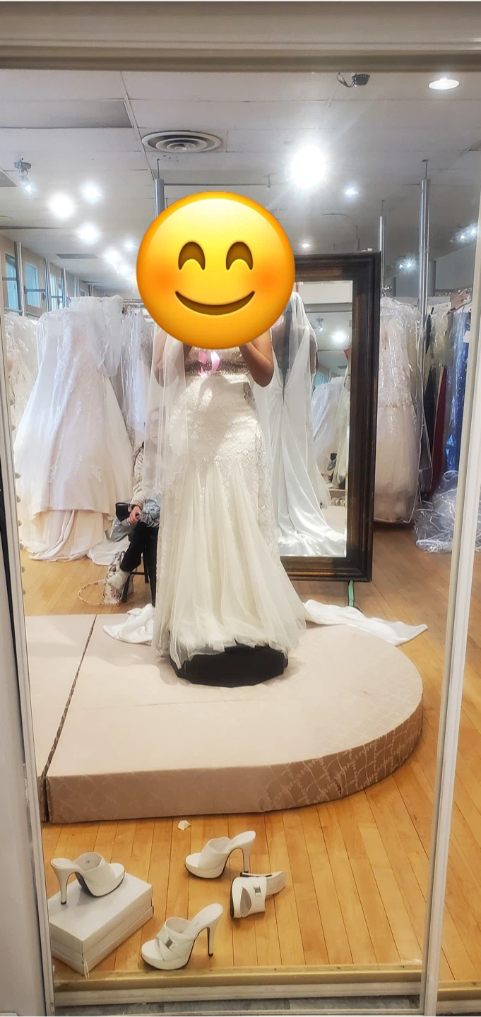Stunning Embellished Wedding Dress with Long Train