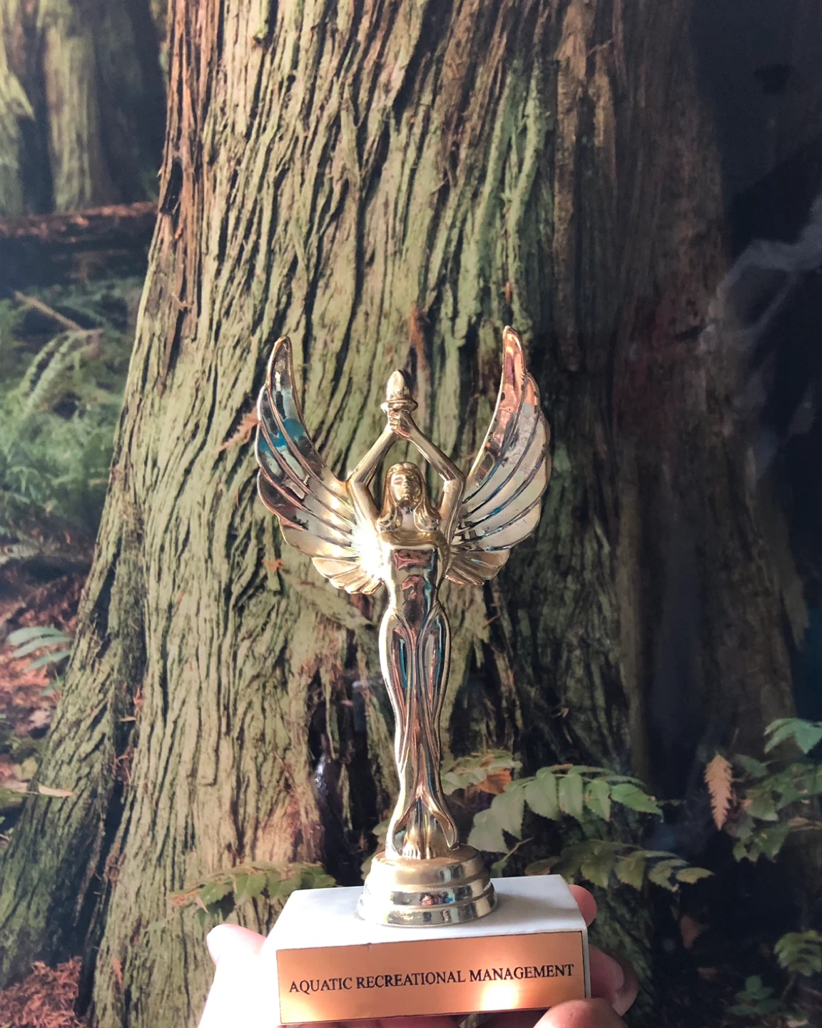 Aquatic Recreational Management Award 🥕