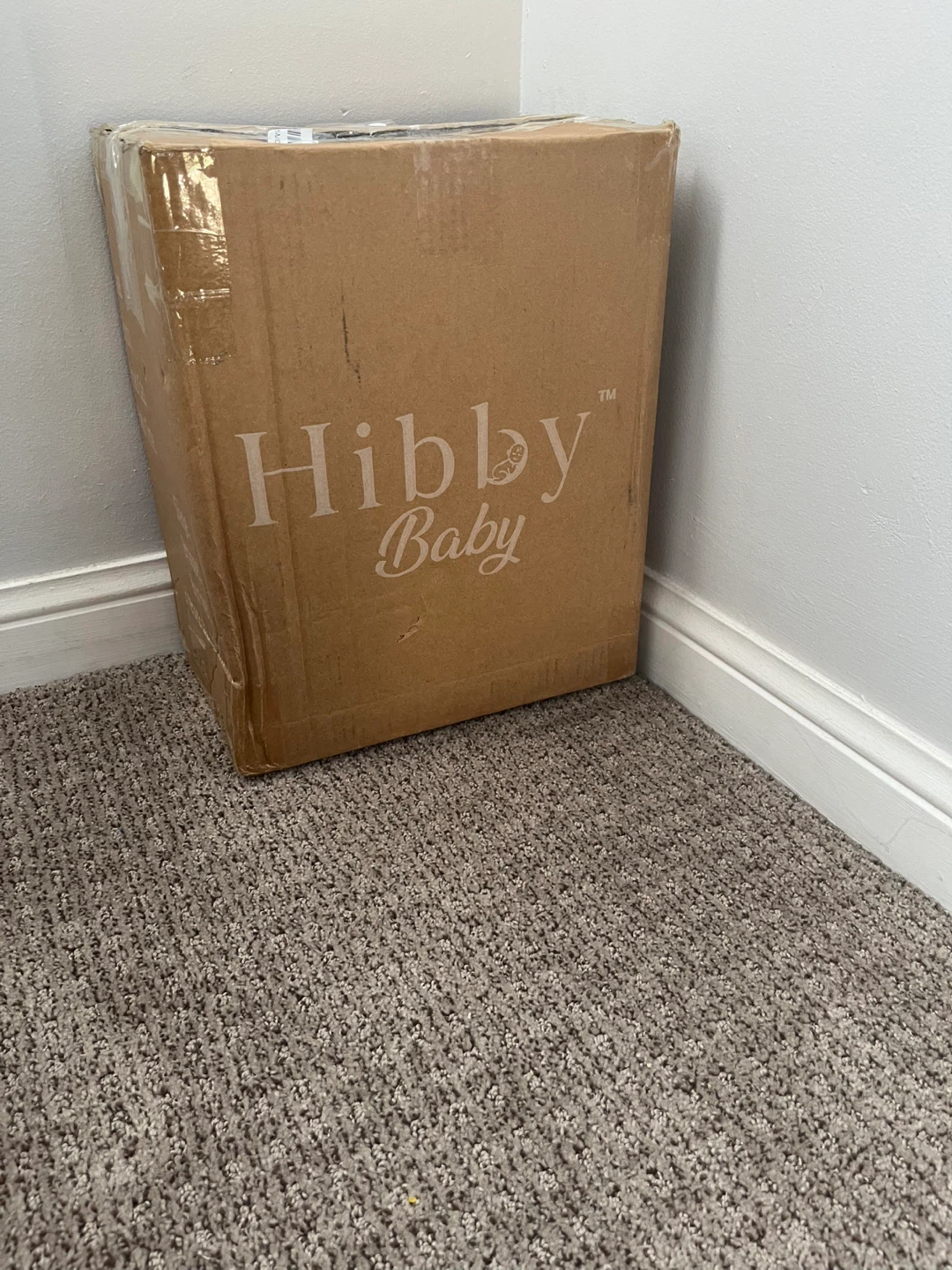 Hibby Baby Bath Seat with Accessories - photo 2