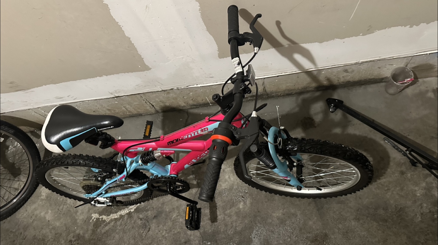 Supercycle Momentum 20" Kids Bike - Pink & Blue - photo 5