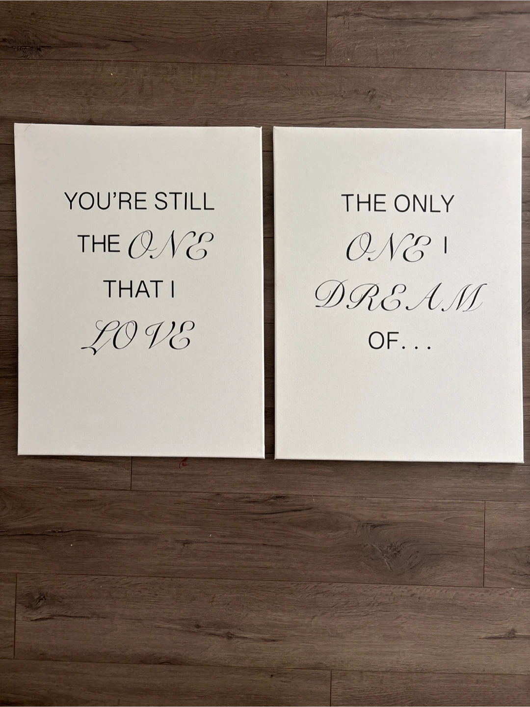 Set of 2 Wall Art Canvases