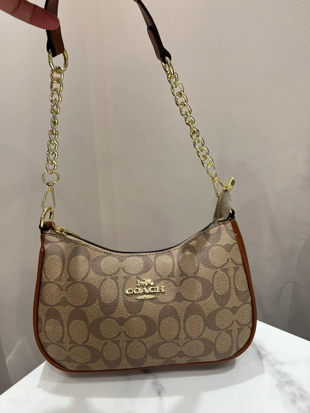 Coach Demi Hobo Bag in Signature Jacquard