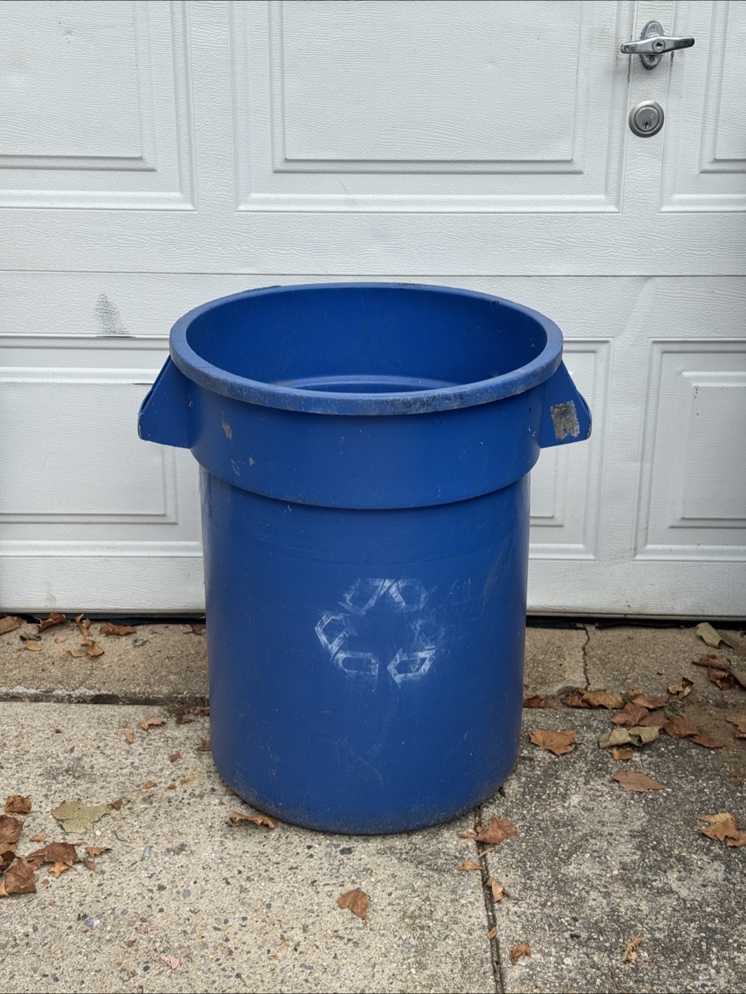 Blue Recycling Bin 🥕