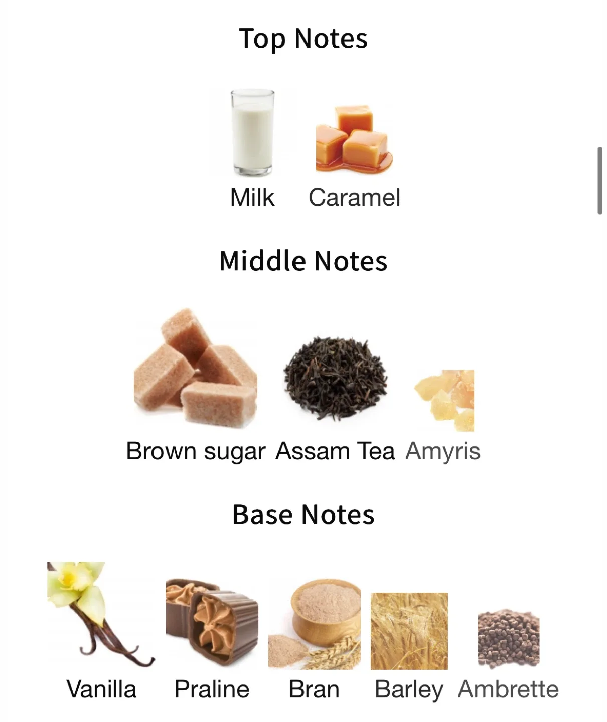 Mochiglow Bubble Tea EDP - 30ml image indicator(2)