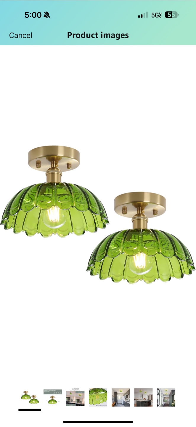 NEW Green Glass Ceiling Light Fixture