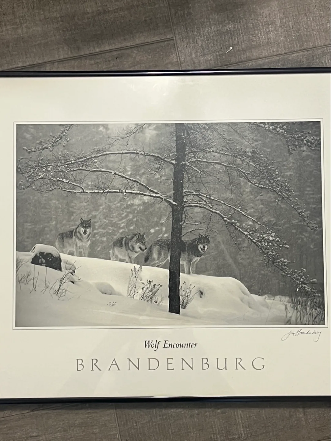 Winter Encounter Brandrnburg image indicator(2)