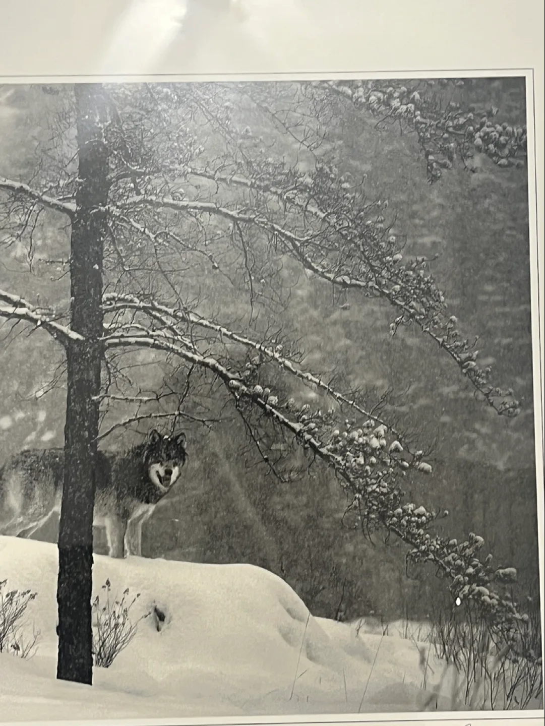 Winter Encounter Brandrnburg image indicator(4)