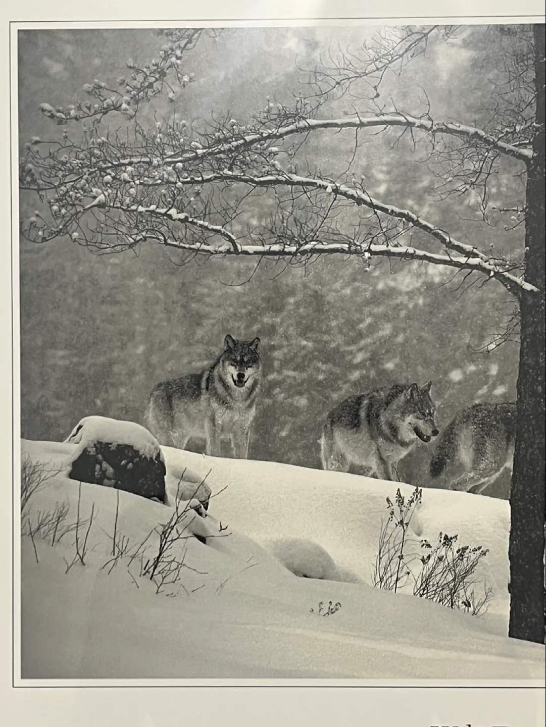 Winter Encounter Brandrnburg image indicator(5)