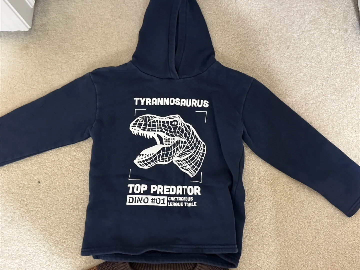 Kids' H&M Dinosaur & Batman Sweaters image indicator(5)