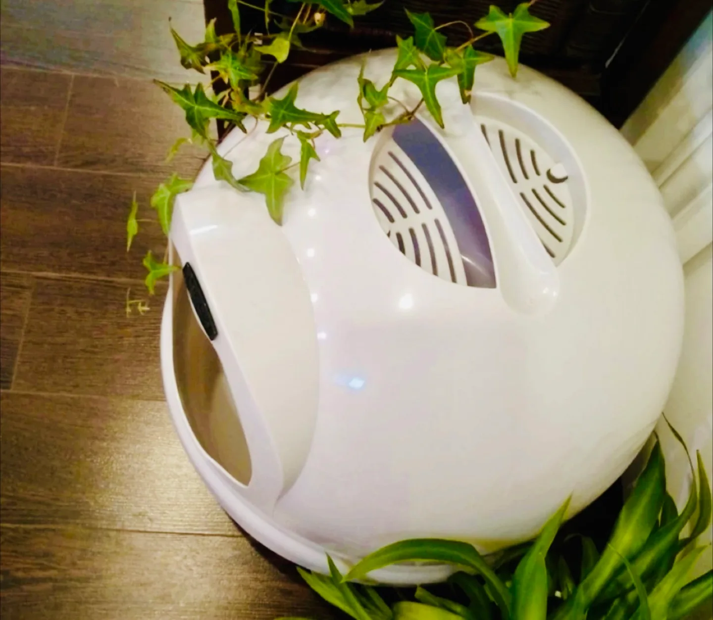 Cat Litter Box - Petmate Booda Dome - White image indicator(2)