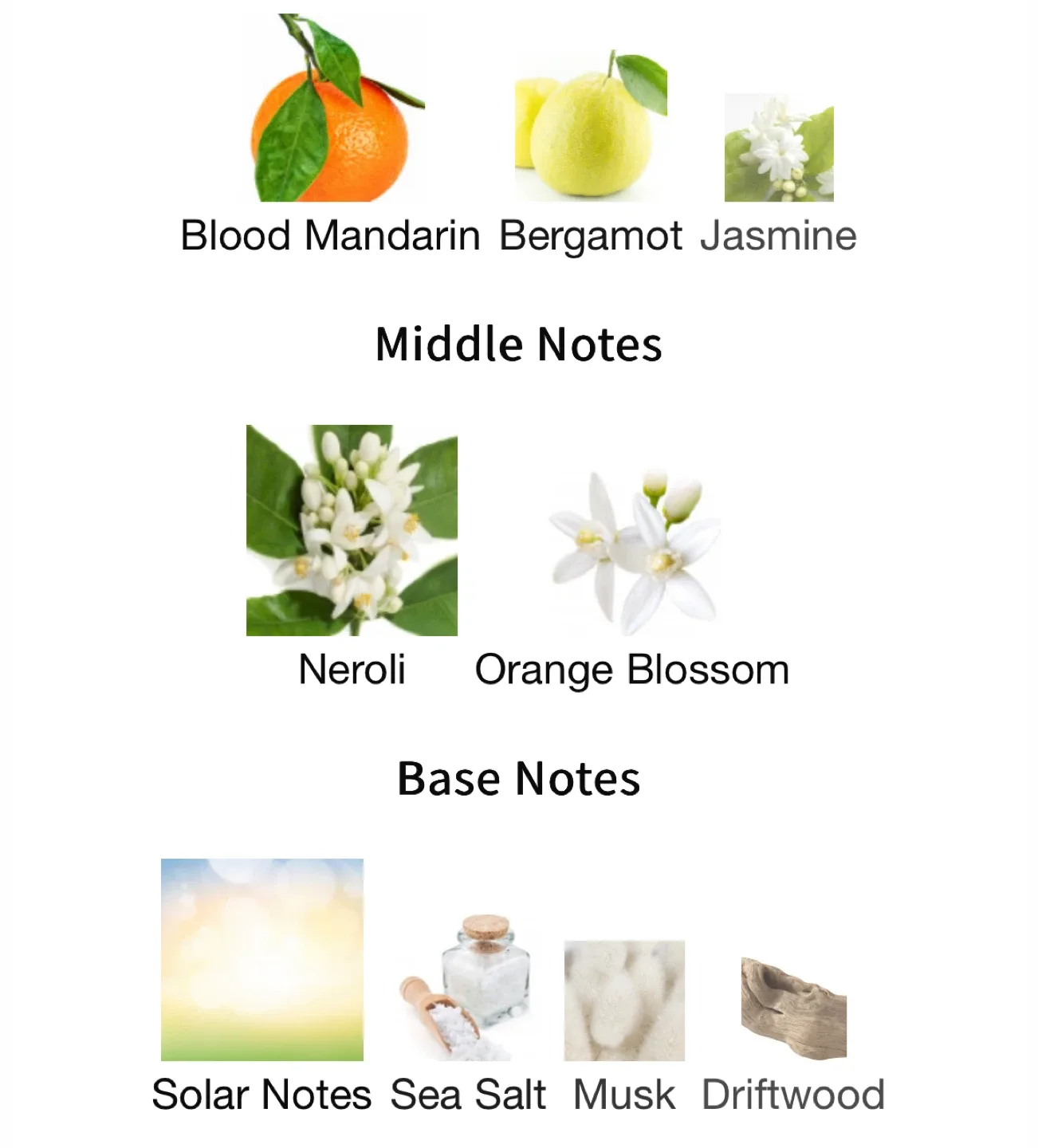 Phlur Solar Power Travel Spray - 5ml image indicator(3)