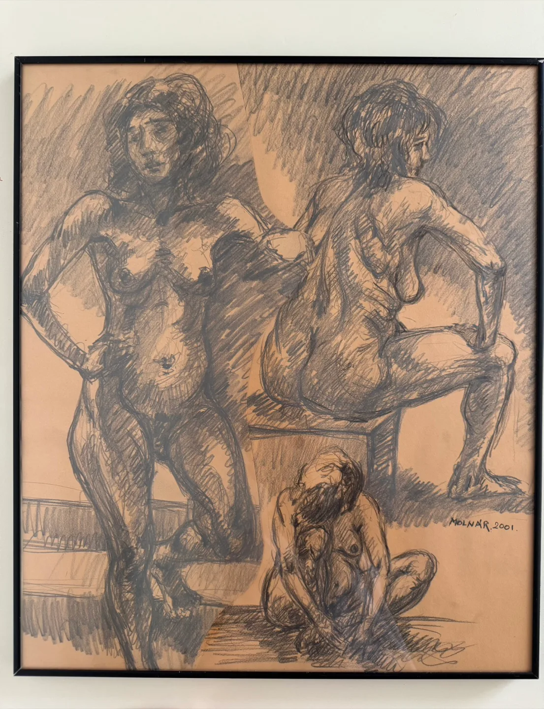 Framed Charcoal Pencil Sketch Drawing On Paper By Frank Molnar image indicator(5)