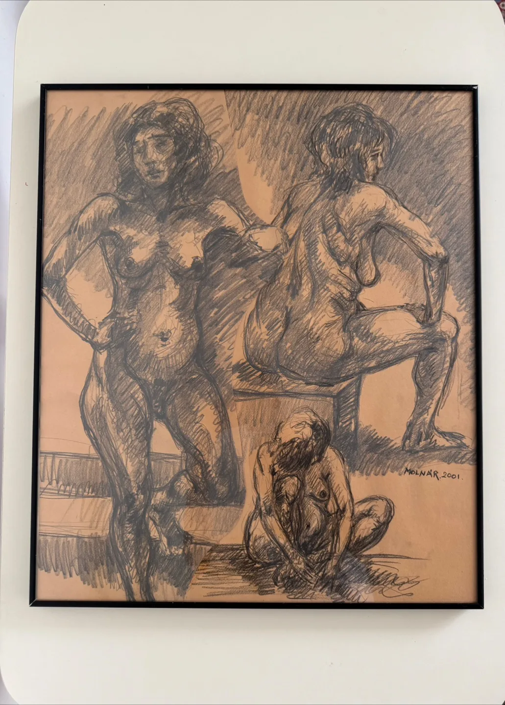 Framed Charcoal Pencil Sketch Drawing On Paper By Frank Molnar image indicator(4)