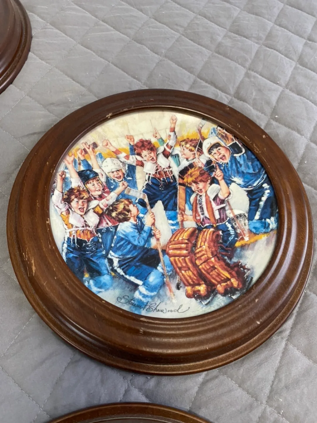 Hockey Plate Collection by Stewart Sherwood image indicator(7)