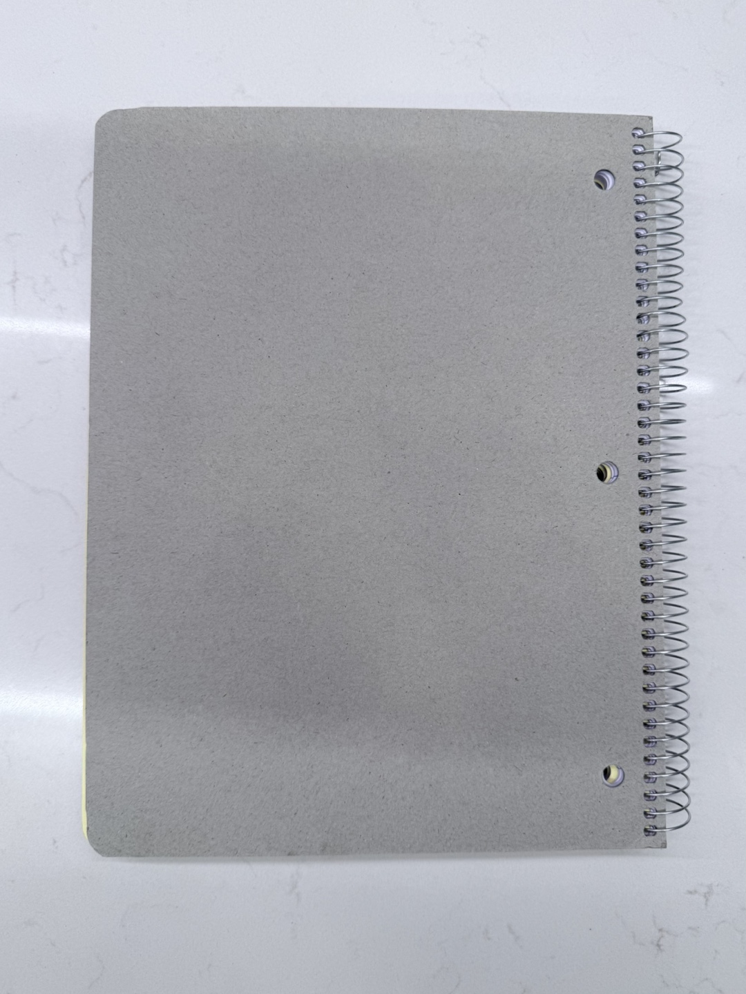 School Smart 5 Subject Notebook - Wide Ruled - photo 2