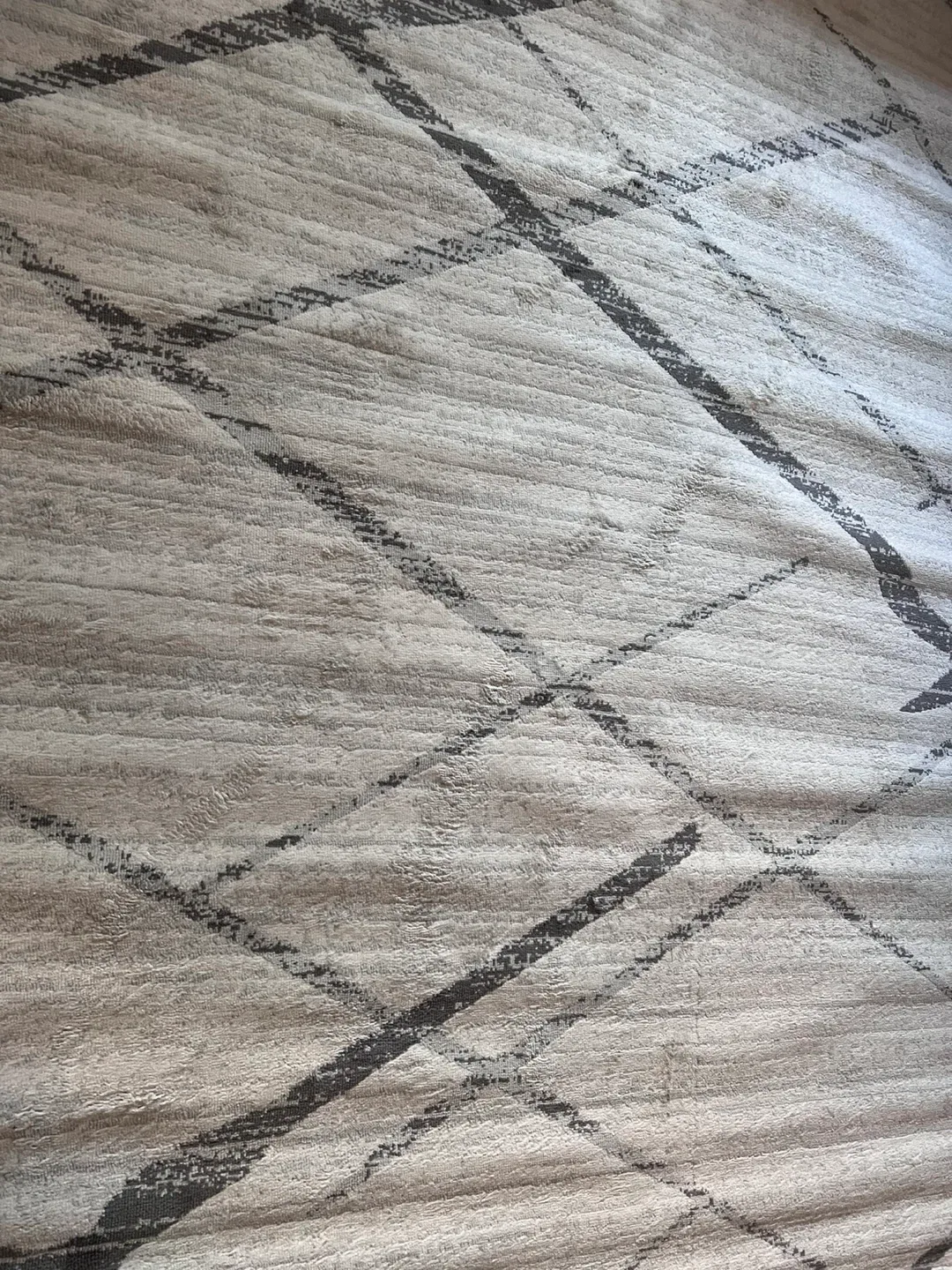 Area Rug image indicator(4)