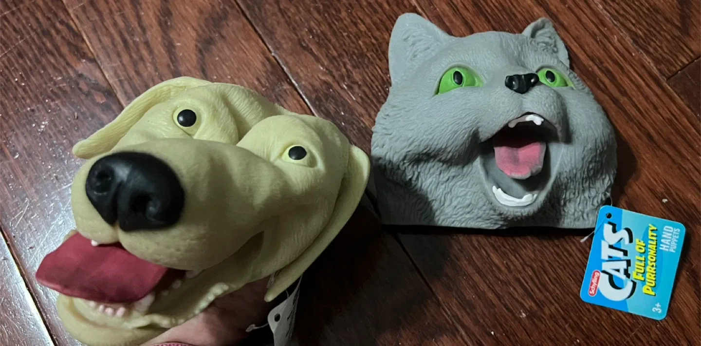 Schylling Hand Puppet 🥕 thumbnail