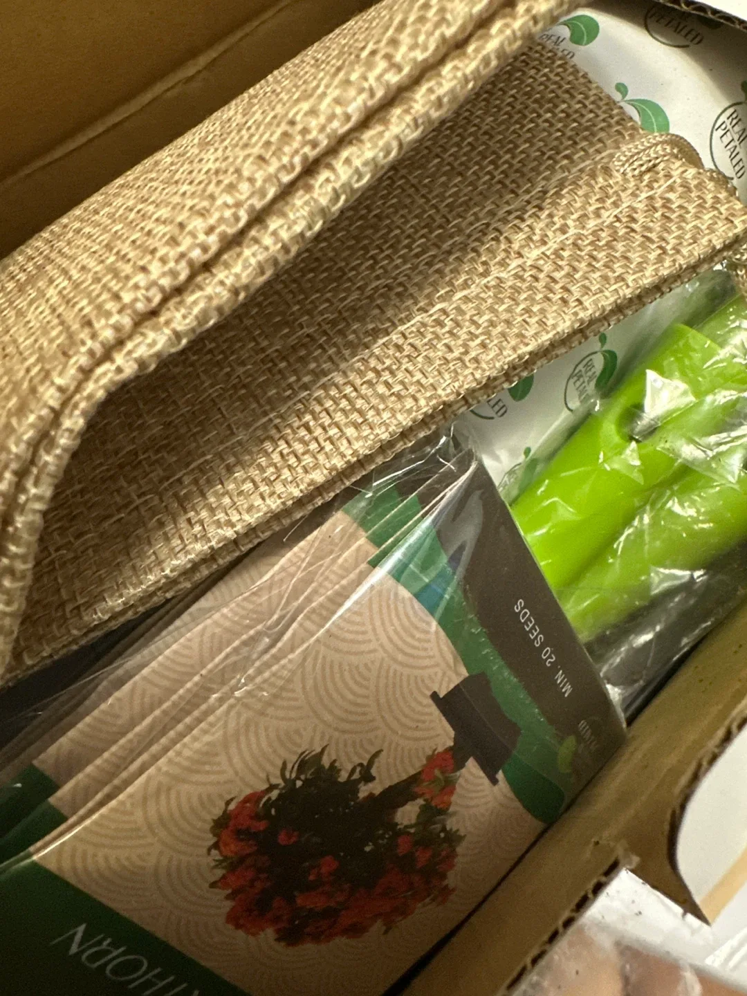 All in One Bonsai Starter Kit🥕 image indicator(4)