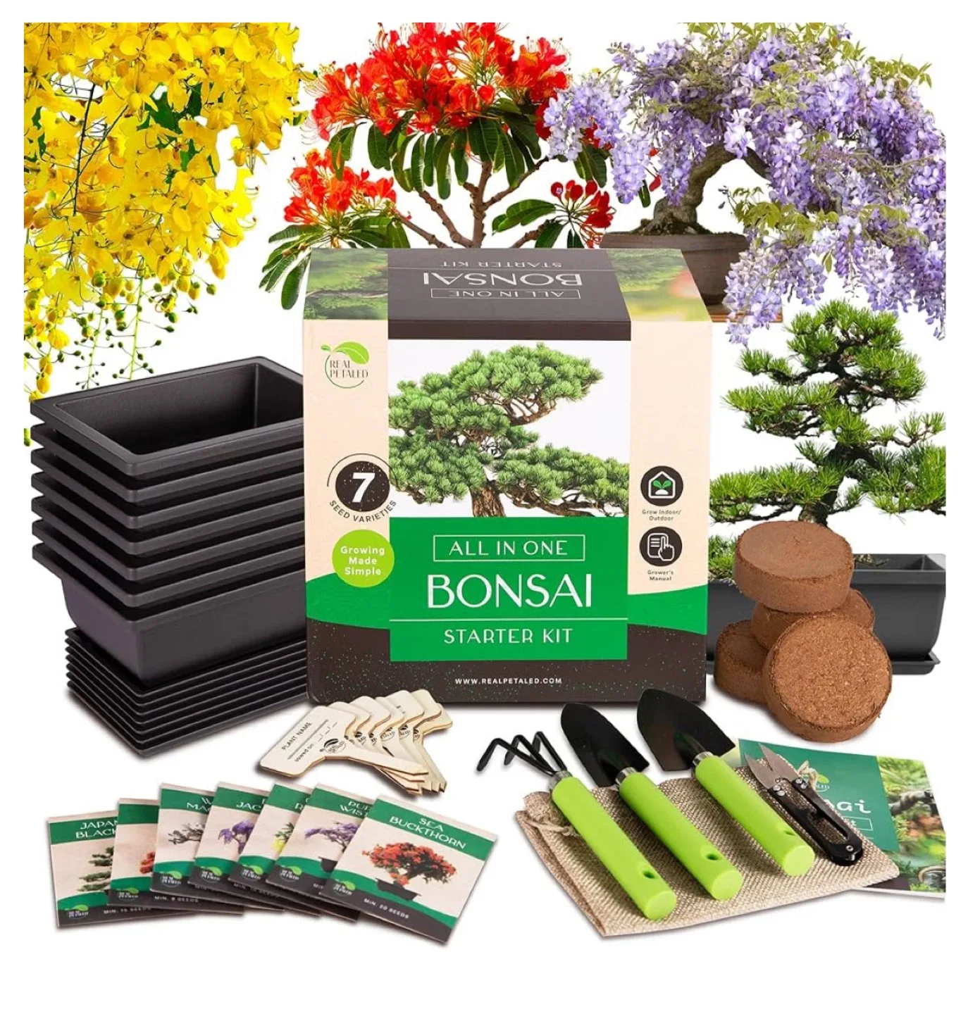 All in One Bonsai Starter Kit🥕 thumbnail