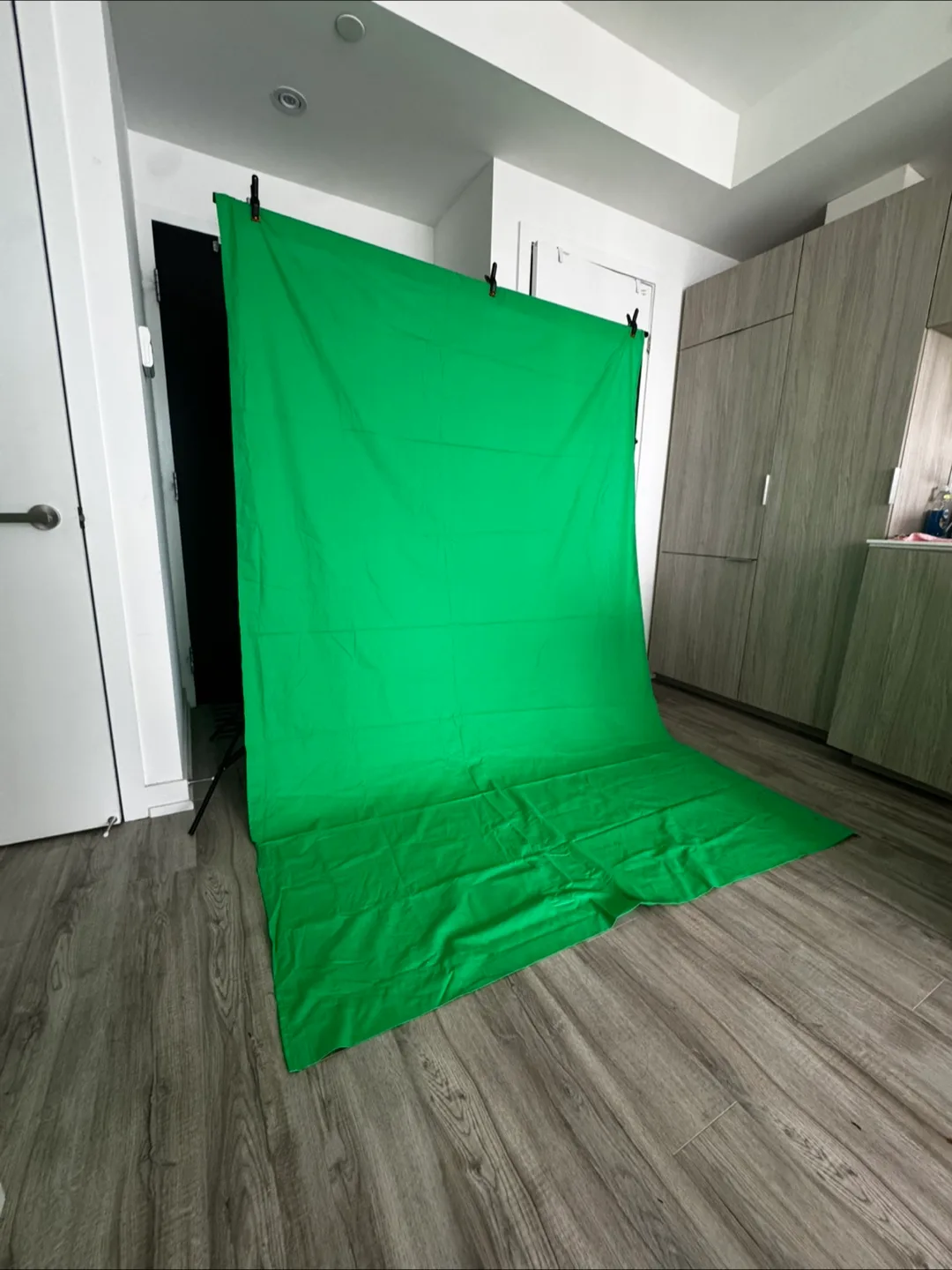 Green Screen Photography Backdrop thumbnail