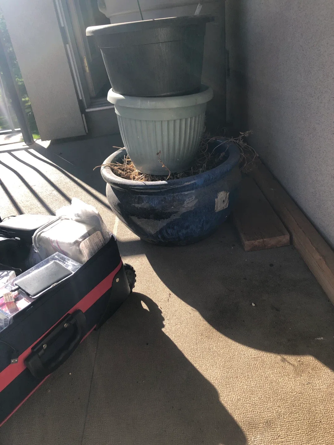 Assorted Used Flower Pots🥕