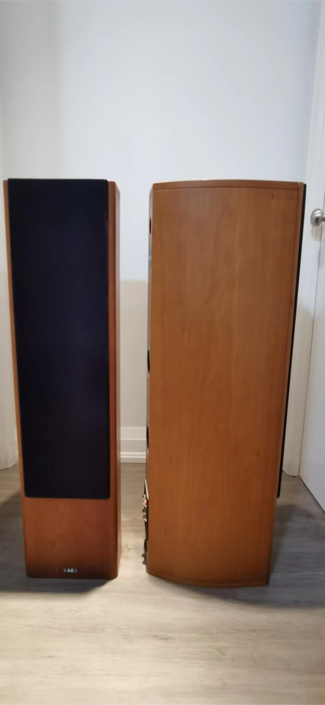 AE Aelite Three Floorstanding Speakers - Pair - photo 2