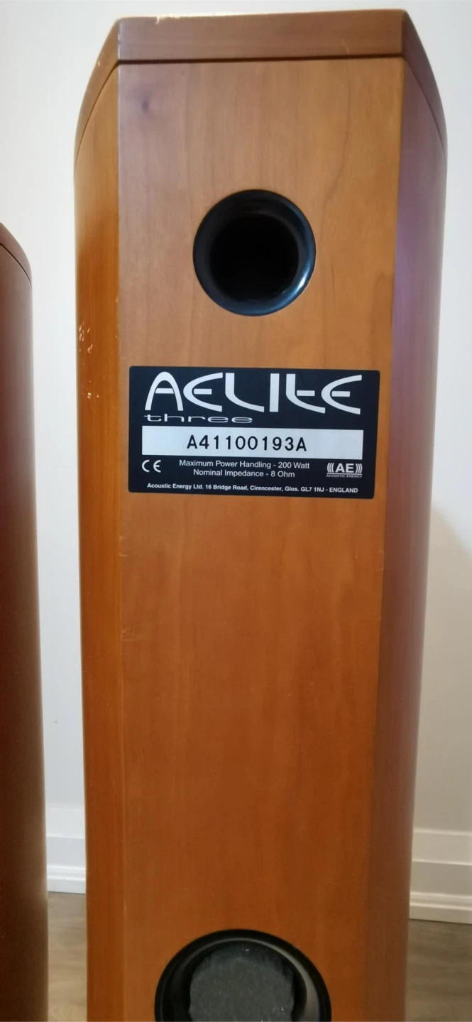 AE Aelite Three Floorstanding Speakers - Pair - photo 3