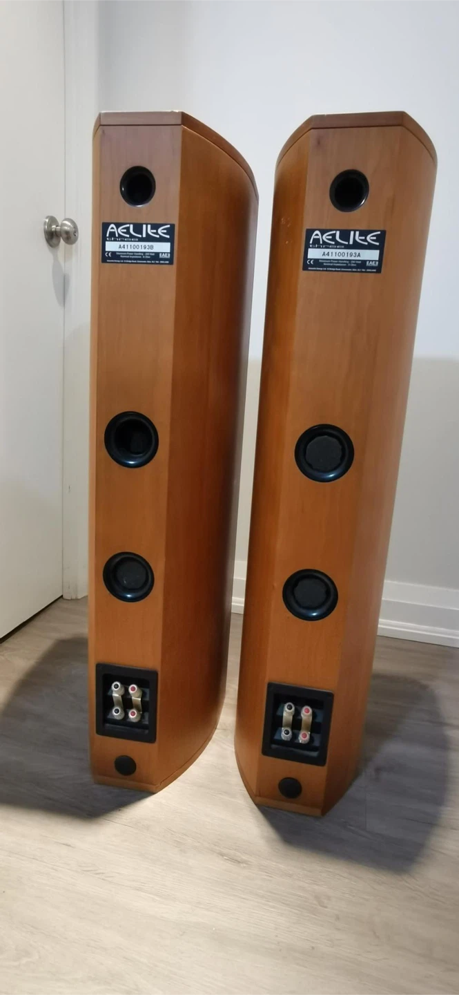 AE Aelite Three Floorstanding Speakers - Pair - photo 5