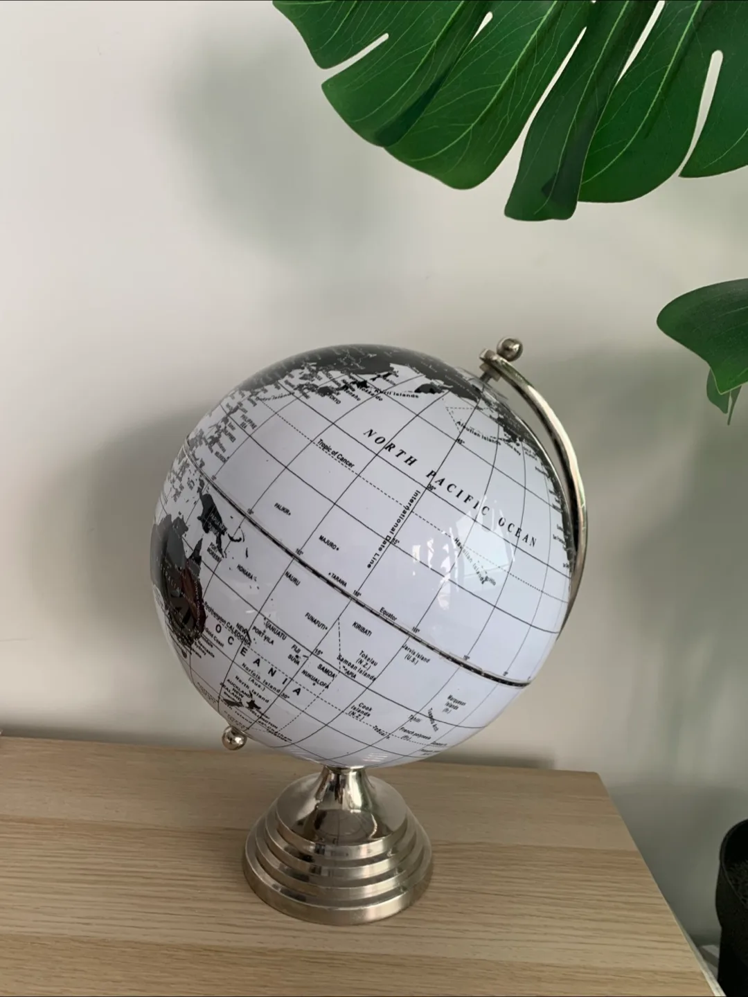 🌎Black and White World Globe image indicator(3)