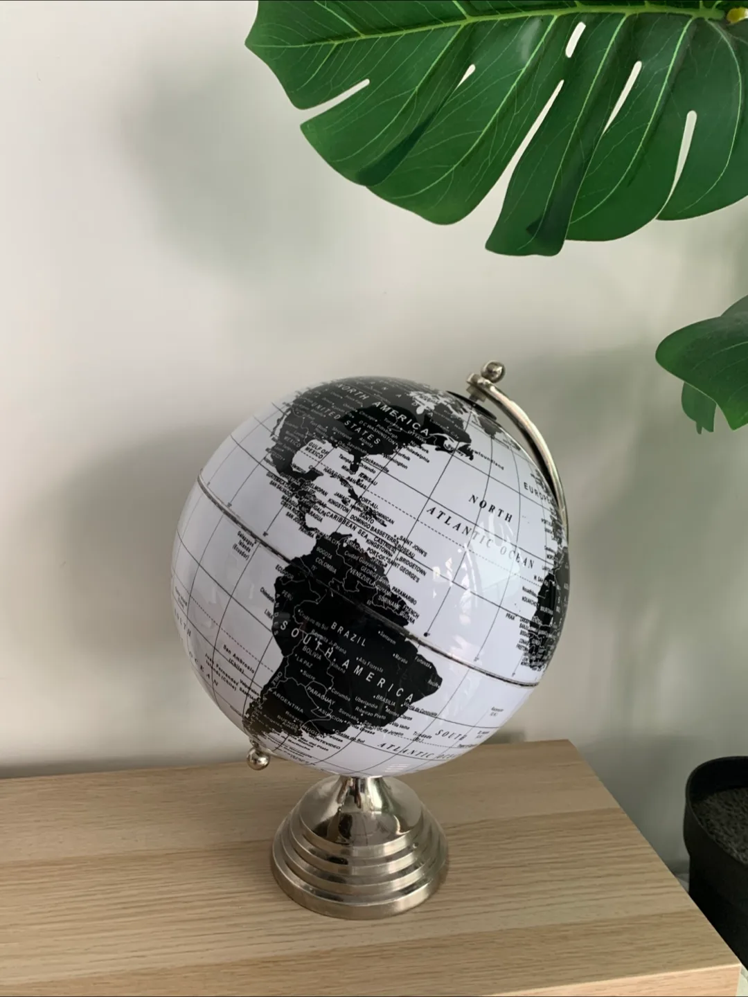 🌎Black and White World Globe thumbnail