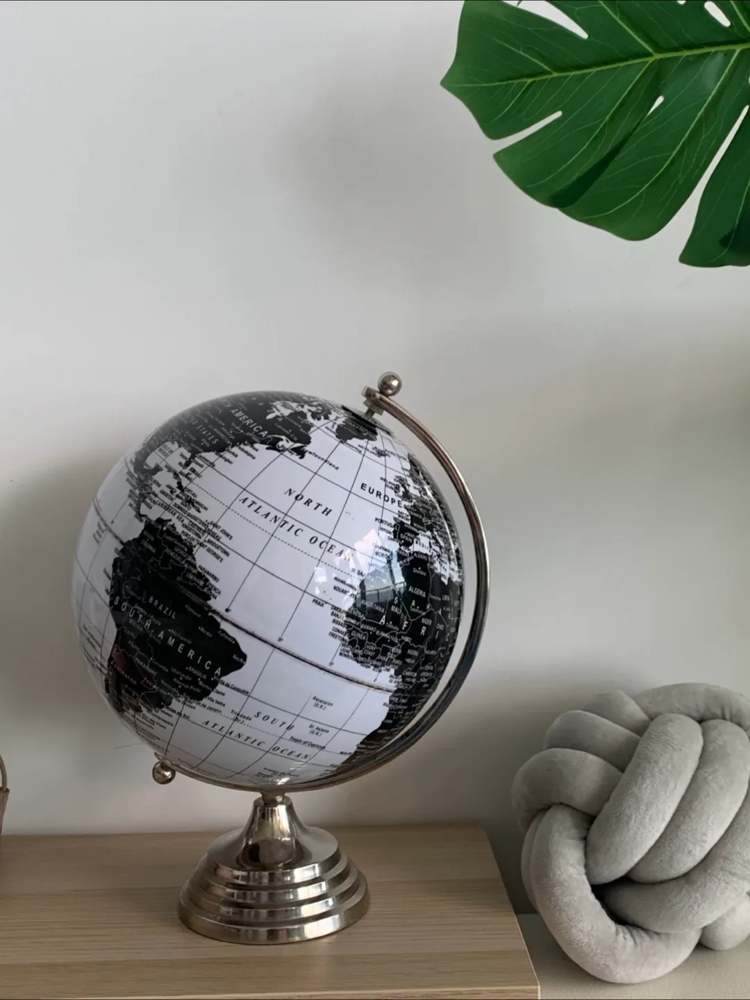 🌎Black and White World Globe image indicator(2)