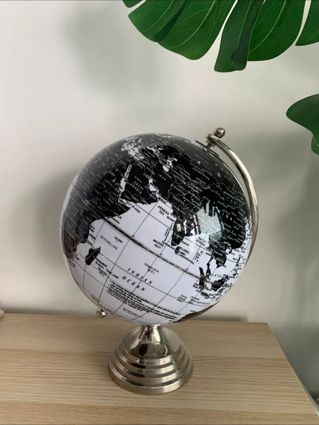 🌎Black and White World Globe image indicator(4)