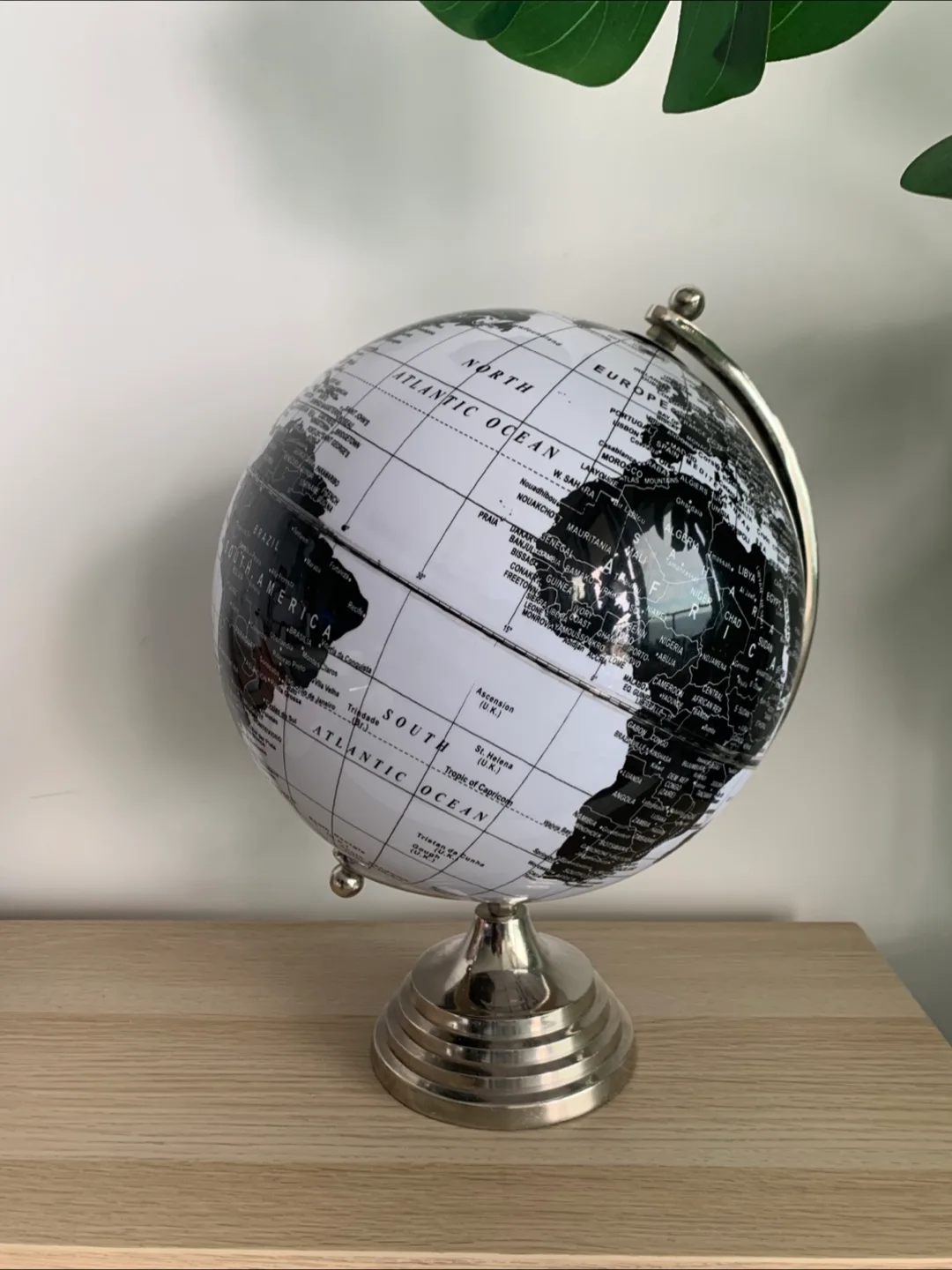 🌎Black and White World Globe image indicator(5)