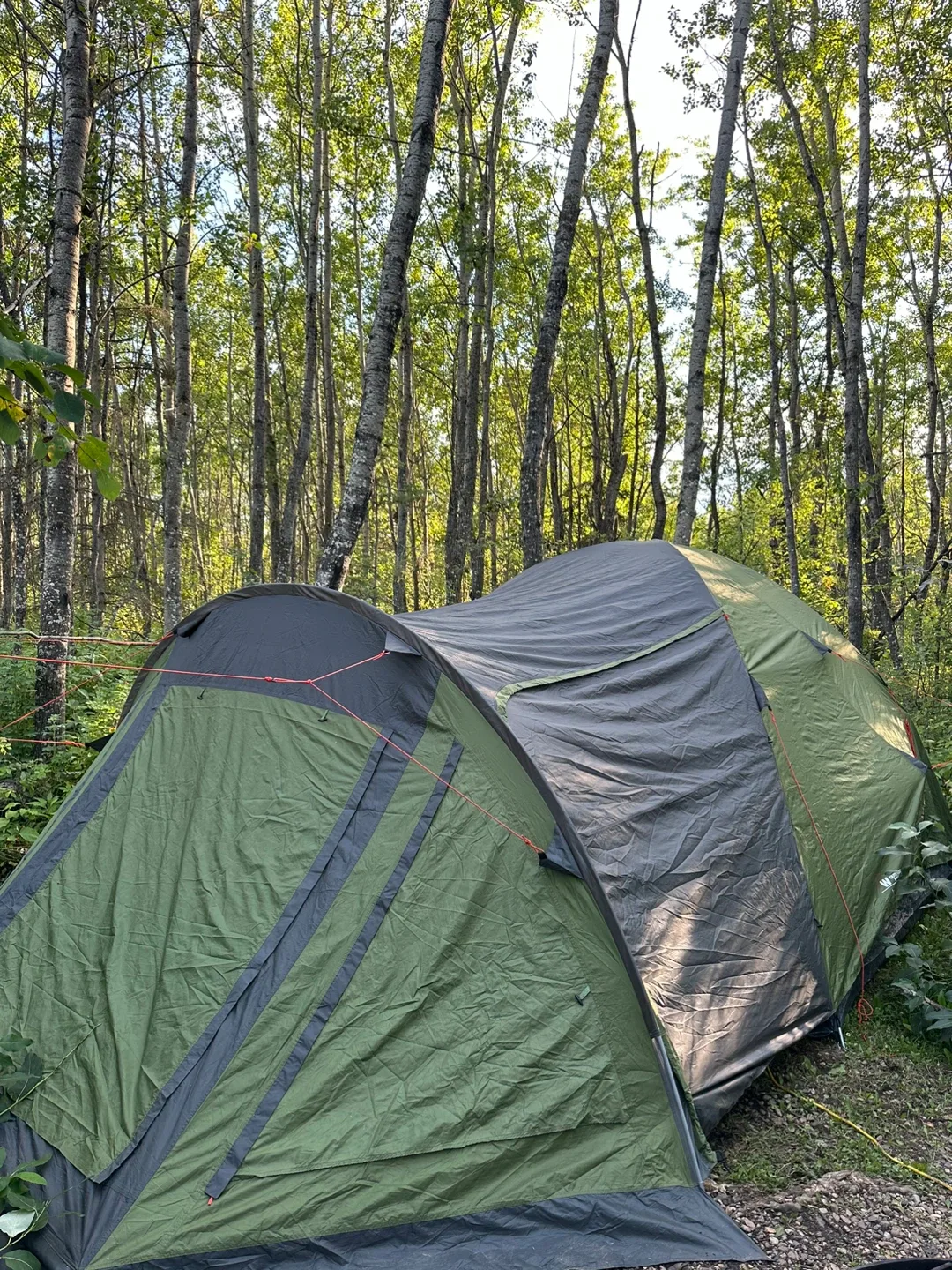 Big jasper dome tent image indicator(2)