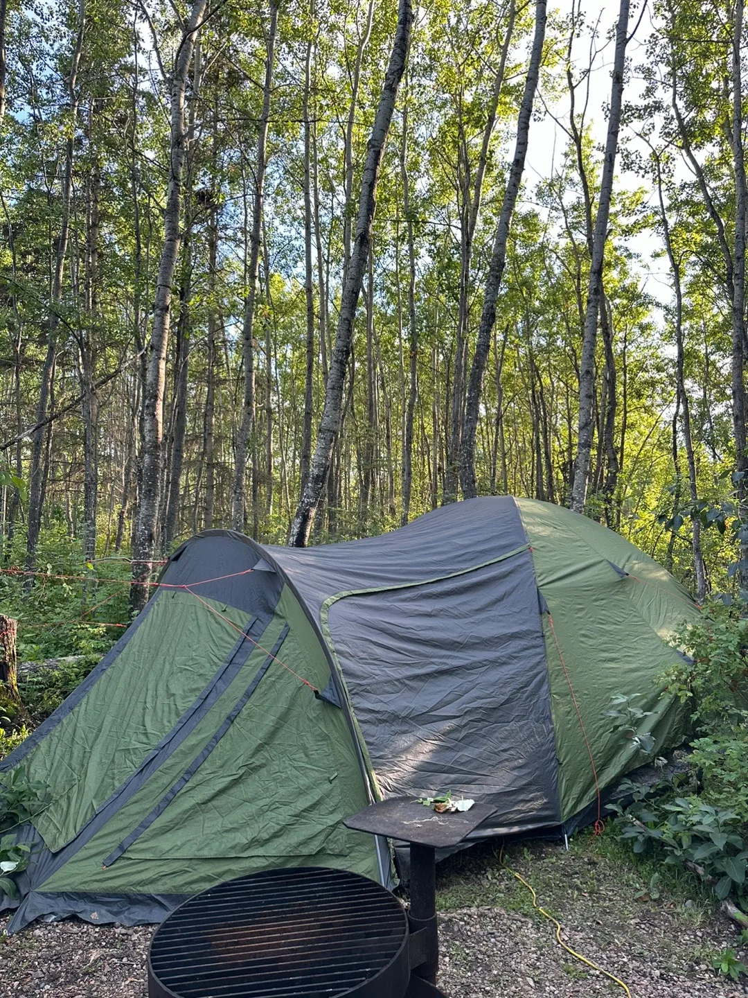 Big jasper dome tent