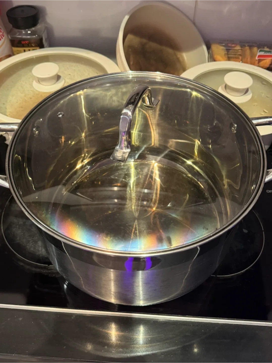 Stainless Steel Stock Pot with Lid
